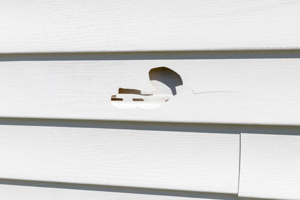 Best Siding Painting and Refinishing  in Pana, IL