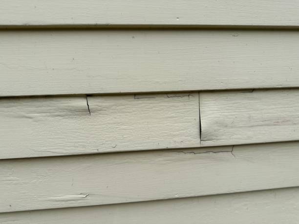 Best Custom Trim and Detailing for Siding  in Pana, IL