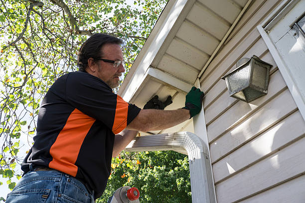 Best Fascia and Soffit Installation  in Pana, IL